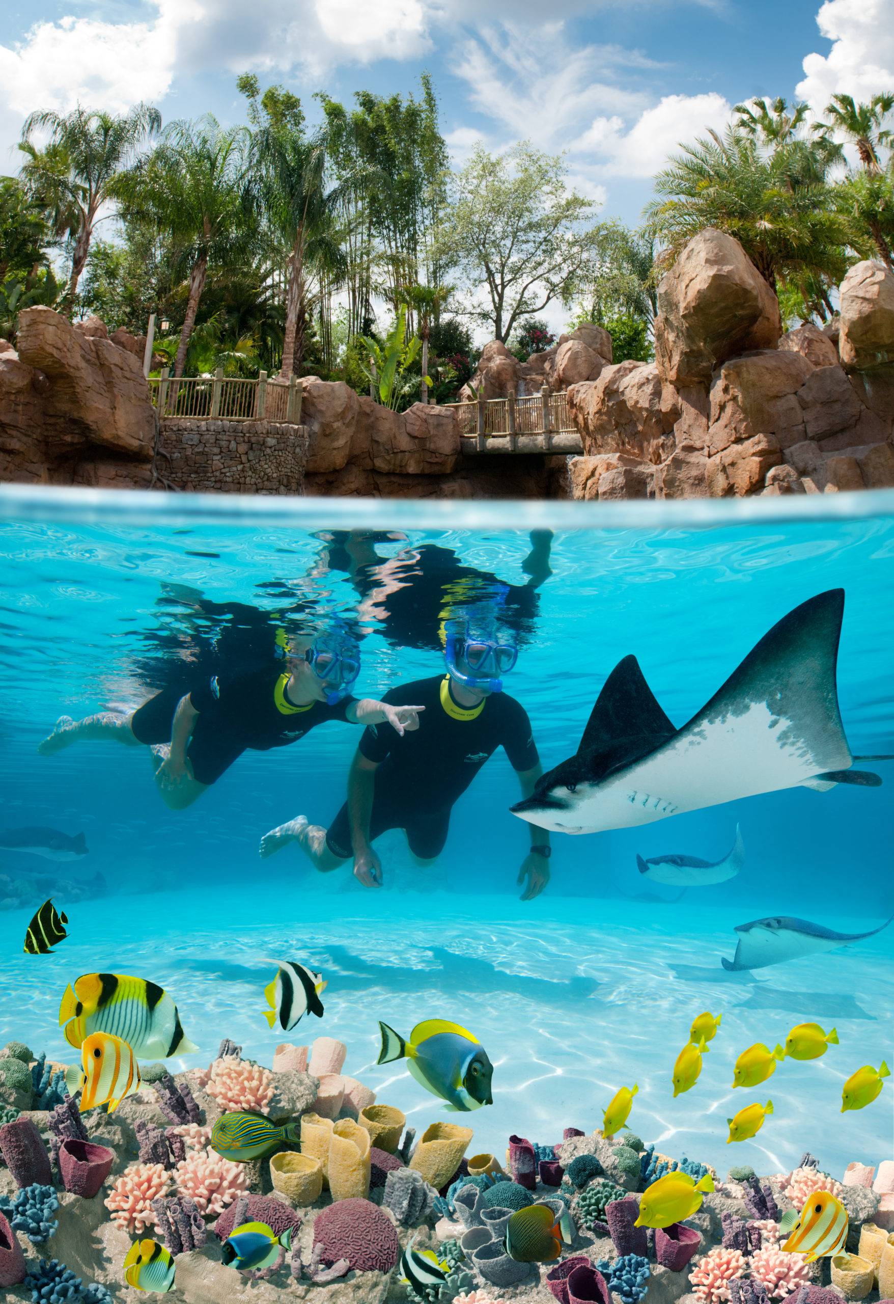 Discovery Cove Black Friday Deals – 2022 – Horizon West News & Info