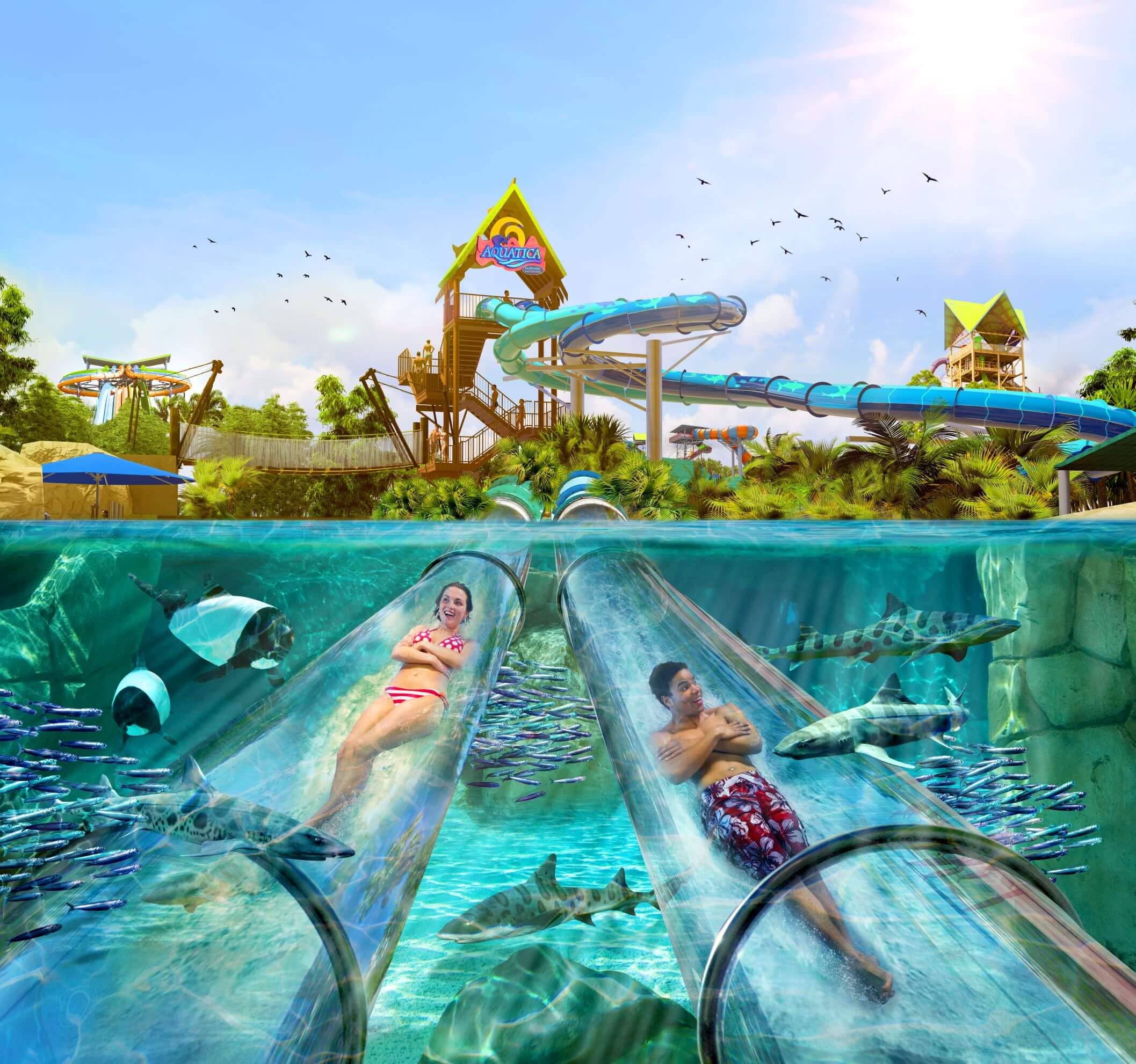 Aquatica Orlando Dives into Spring with Reef Plunge Now Open